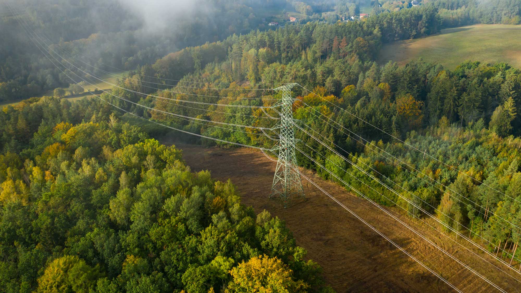 Rethinking Utility Vegetation Management Program Structure