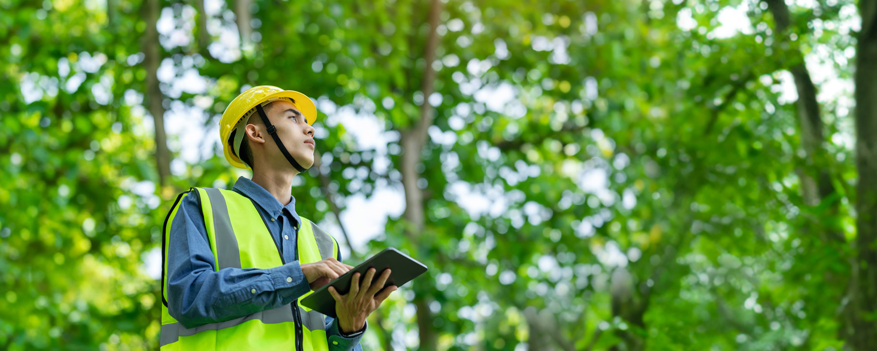 From Execution to Defensibility: Rethinking Utility Vegetation Management Programs in the United States
